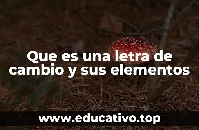 Que es una letra de cambio y sus elementos