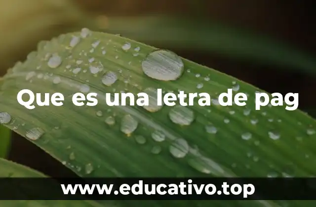 Que es una letra de pag