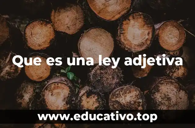 La función complementaria en el sistema jurídico