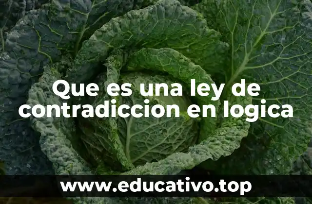 Que es una ley de contradiccion en logica
