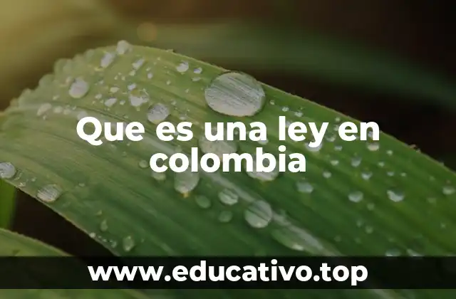 Que es una ley en colombia