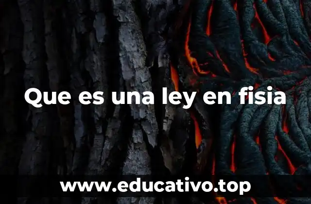 Que es una ley en fisia