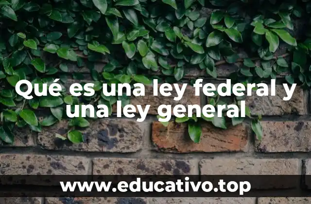 Qué es una ley federal y una ley general