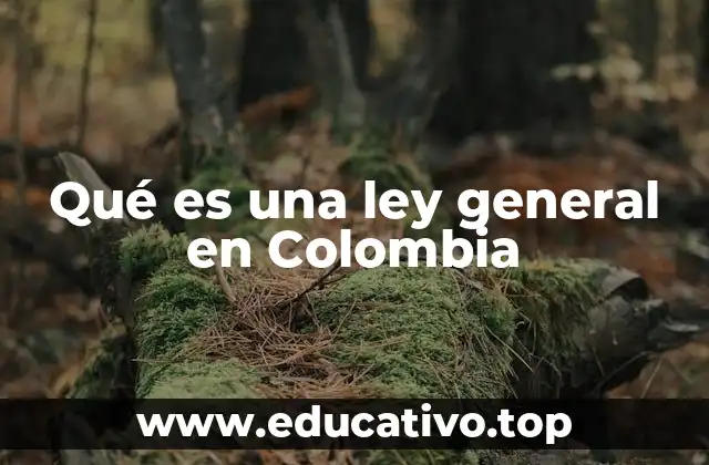 Qué es una ley general en Colombia