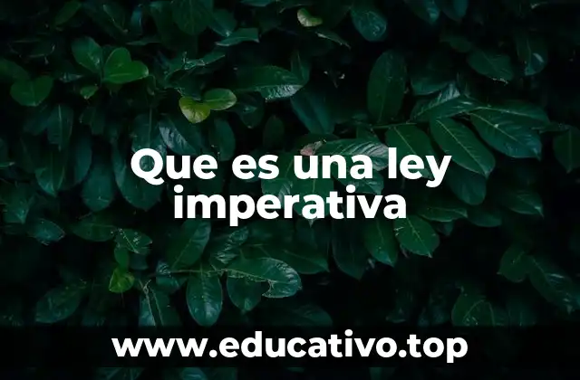 La importancia de las normas obligatorias en el sistema legal
