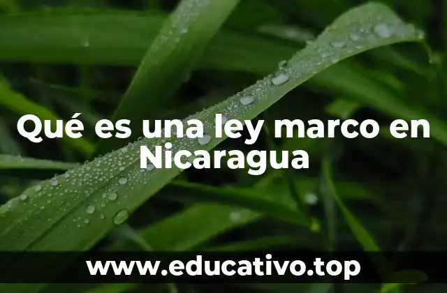 Qué es una ley marco en Nicaragua