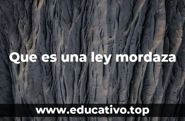 Que es una ley mordaza