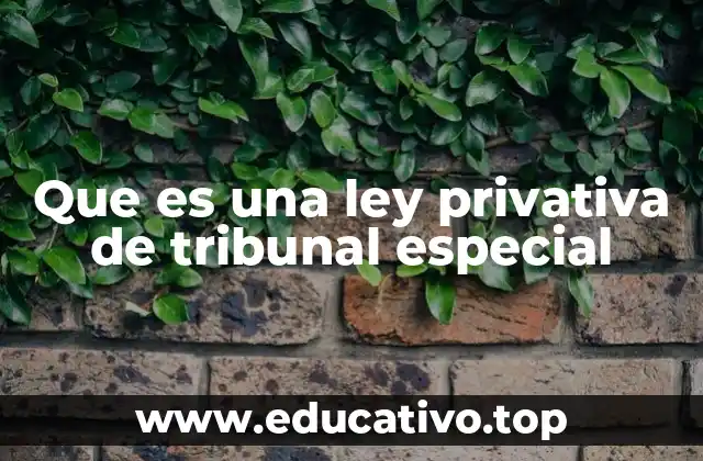 La importancia de los tribunales especializados en el sistema judicial