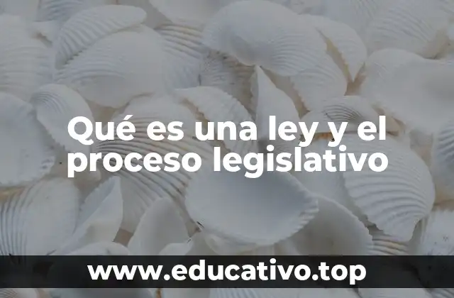 Qué es una ley y el proceso legislativo