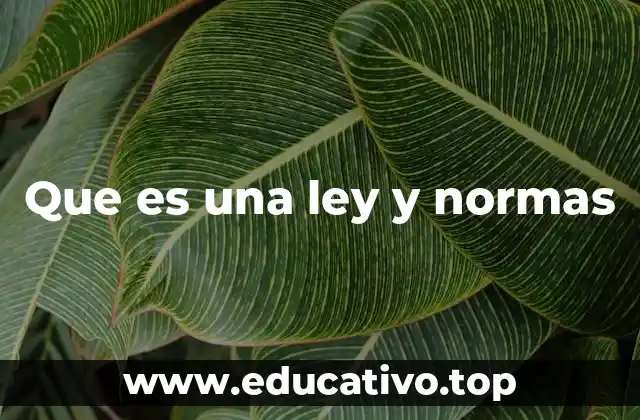 Que es una ley y normas