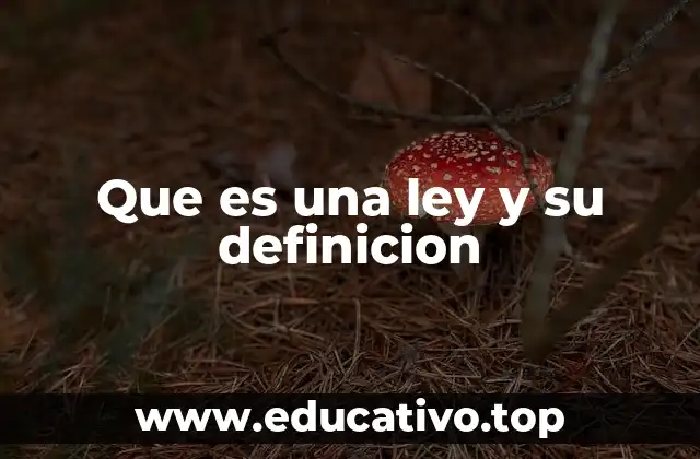 Que es una ley y su definicion