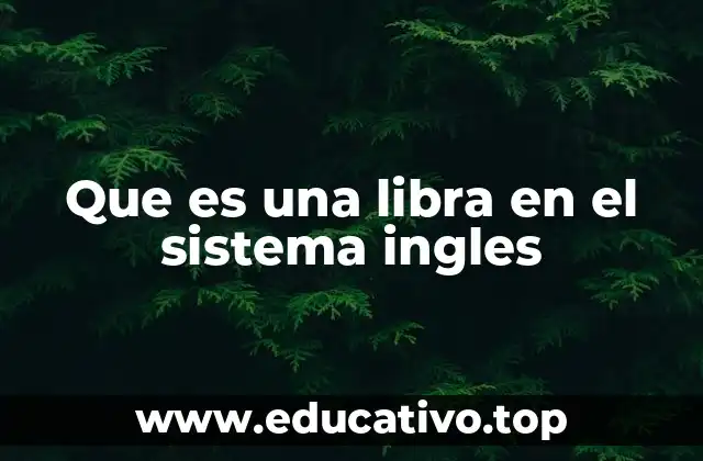 Que es una libra en el sistema ingles