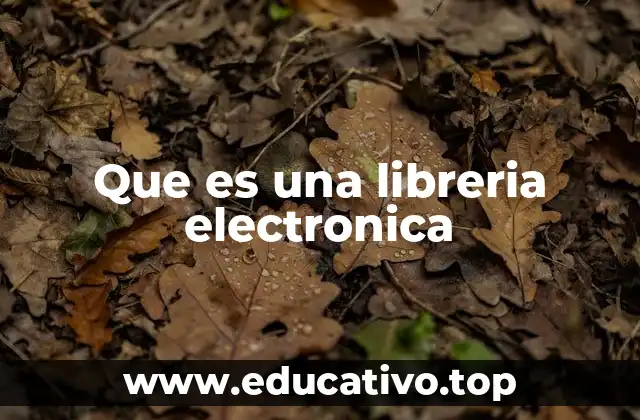 Que es una libreria electronica