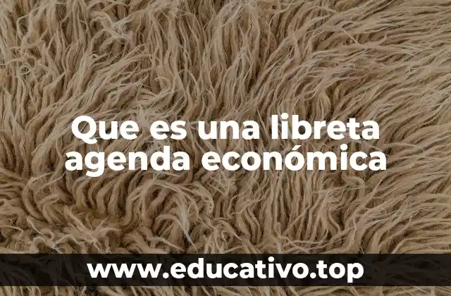 Que es una libreta agenda económica
