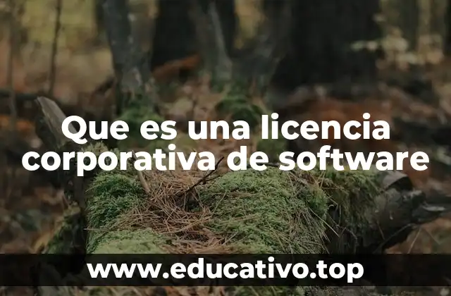 Que es una licencia corporativa de software