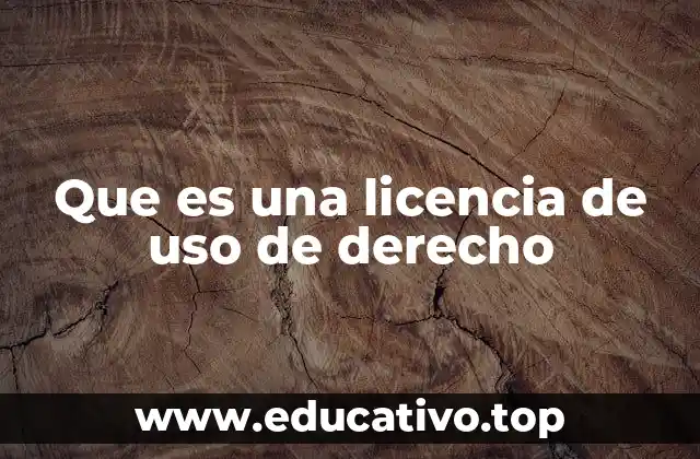 Que es una licencia de uso de derecho