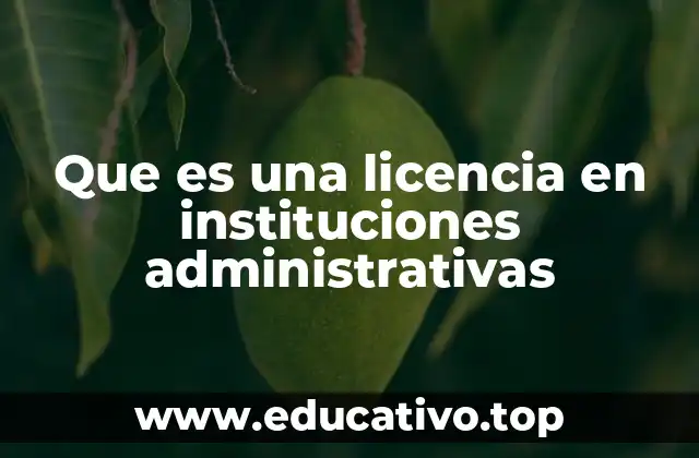 Que es una licencia en instituciones administrativas