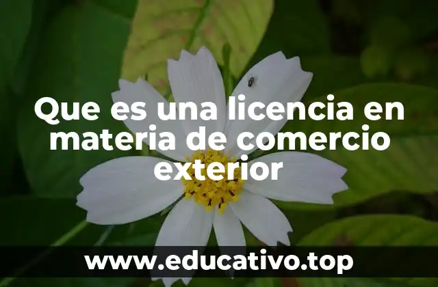 Que es una licencia en materia de comercio exterior