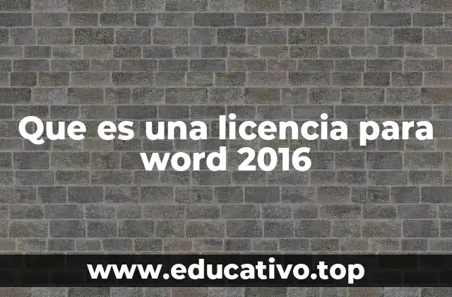 Que es una licencia para word 2016