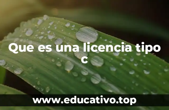 Que es una licencia tipo c