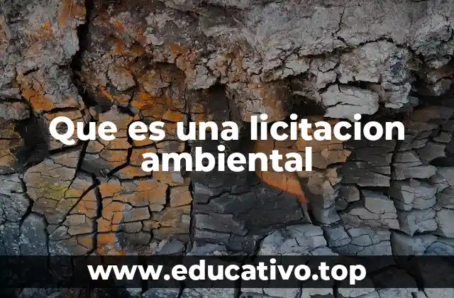 Que es una licitacion ambiental