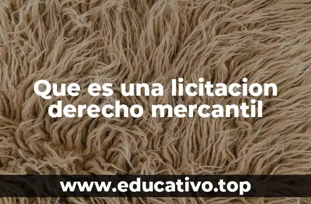 Que es una licitacion derecho mercantil