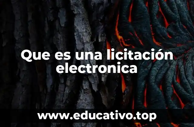 Procedimiento de una licitación electrónica