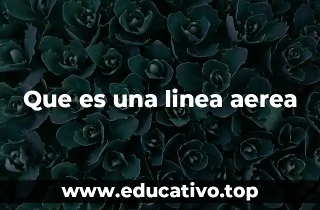 El papel de las líneas aéreas en la conectividad moderna