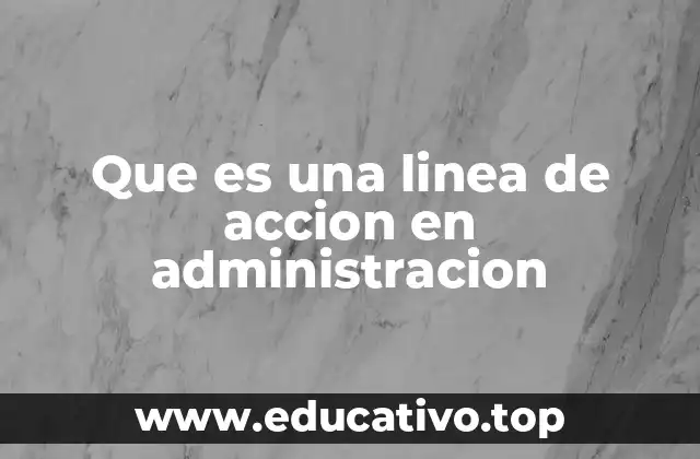 Que es una linea de accion en administracion