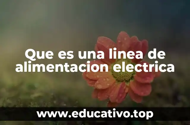 Que es una linea de alimentacion electrica
