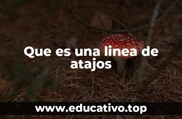 Que es una linea de atajos