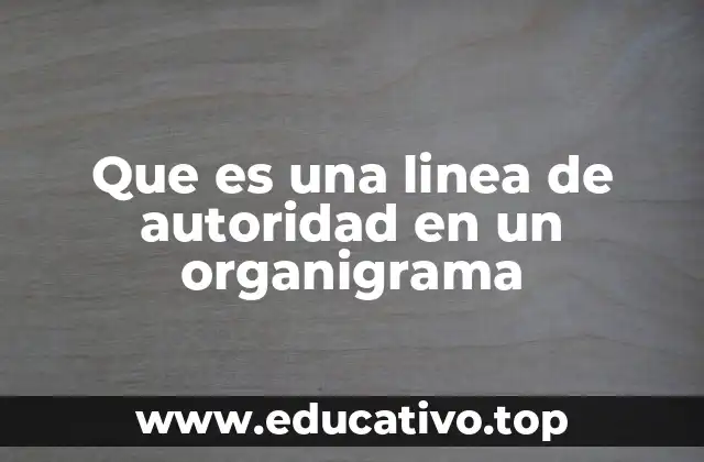 Que es una linea de autoridad en un organigrama