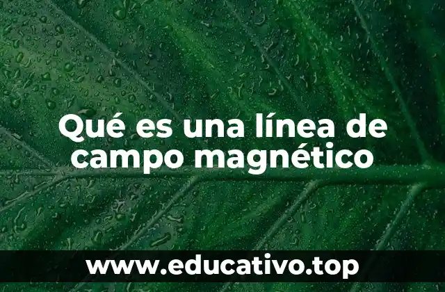 Qué es una línea de campo magnético