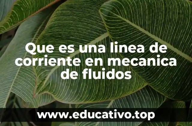 Que es una linea de corriente en mecanica de fluidos