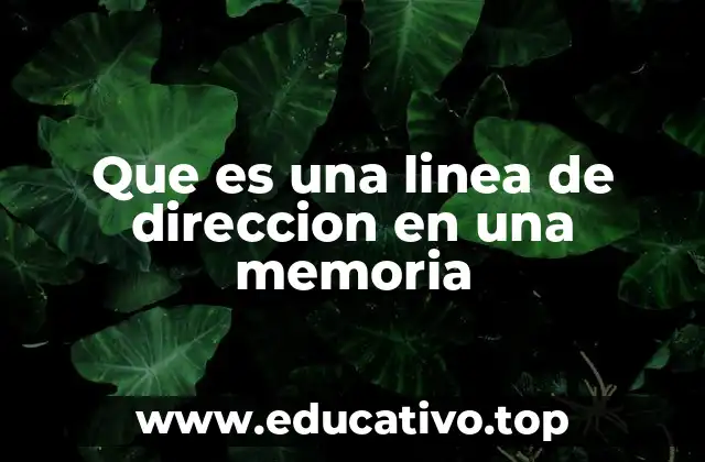 Que es una linea de direccion en una memoria