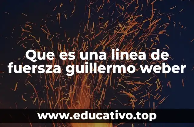 Que es una linea de fuersza guillermo weber