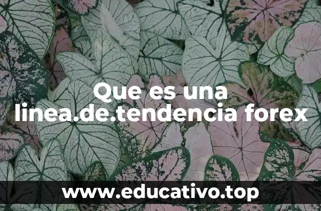 Que es una linea.de.tendencia forex