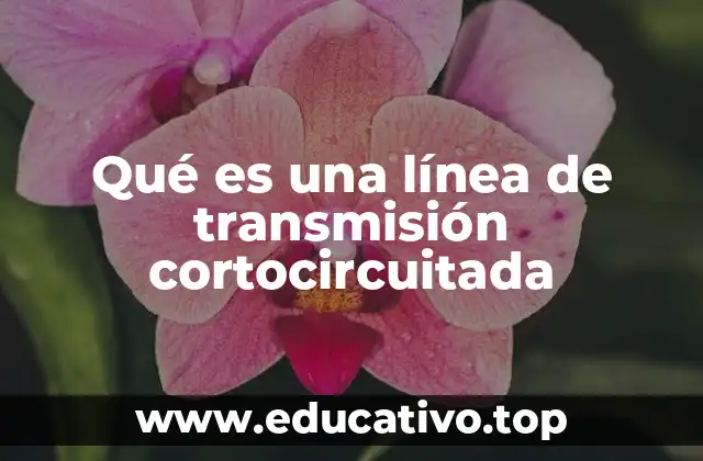 Qué es una línea de transmisión cortocircuitada