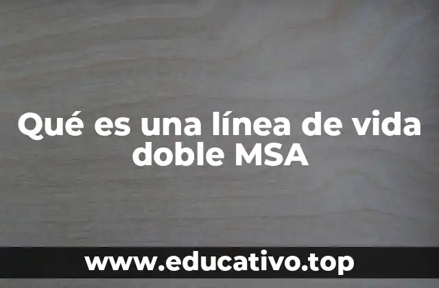 Qué es una línea de vida doble MSA