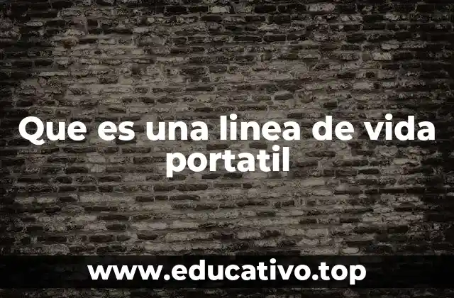 Que es una linea de vida portatil