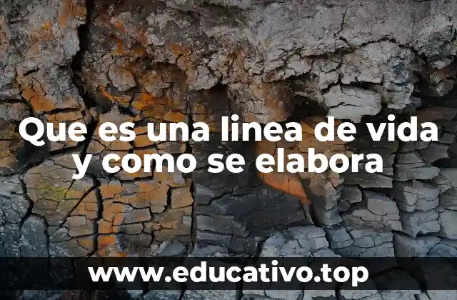 Que es una linea de vida y como se elabora