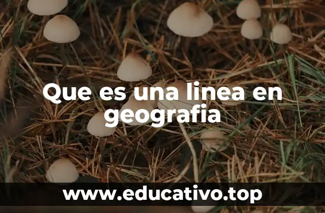 Que es una linea en geografia