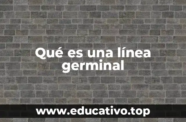 Qué es una línea germinal