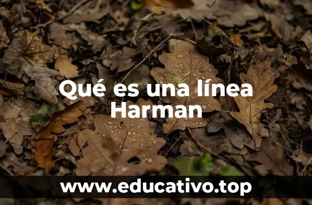 Qué es una línea Harman
