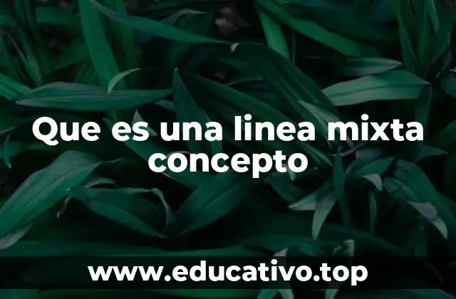 Que es una linea mixta concepto