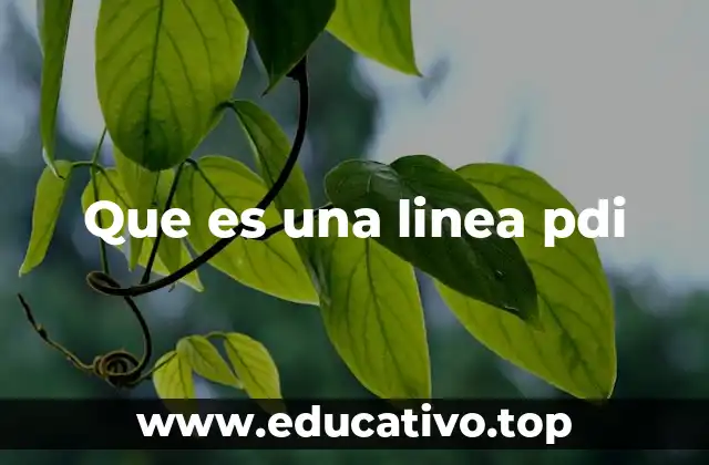 Que es una linea pdi