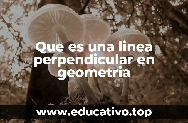 Que es una linea perpendicular en geometria