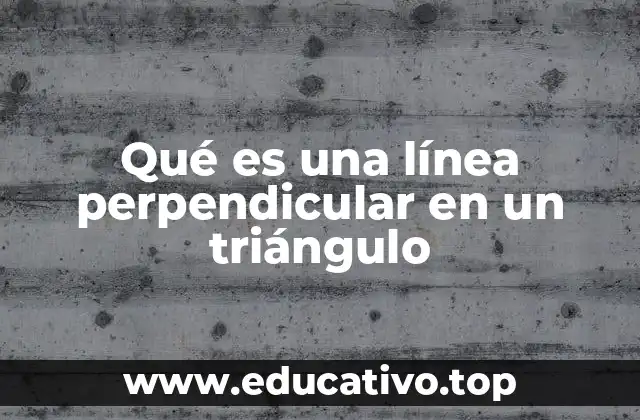 Qué es una línea perpendicular en un triángulo
