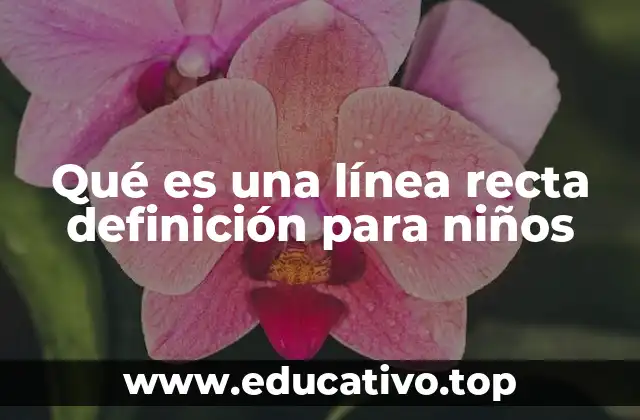 Qué es una línea recta definición para niños