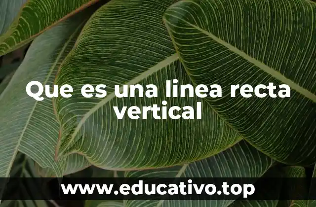 Características y propiedades de una línea recta vertical